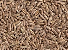 White Cumin Seeds
