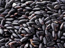 Non Sticky Black Rice