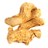 Dry Ginger