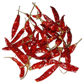 Dry Red Chilies
