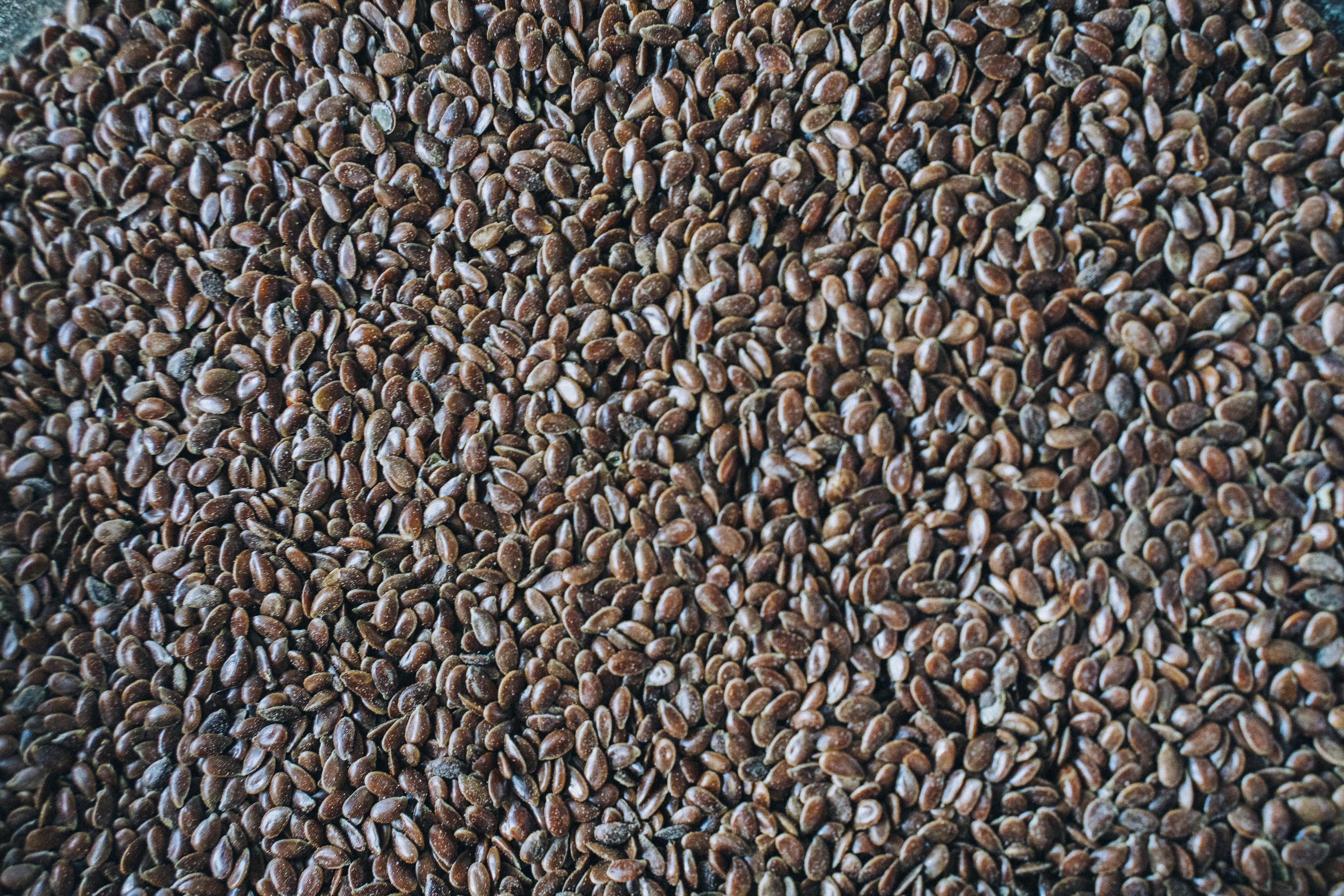 Flax Seeds