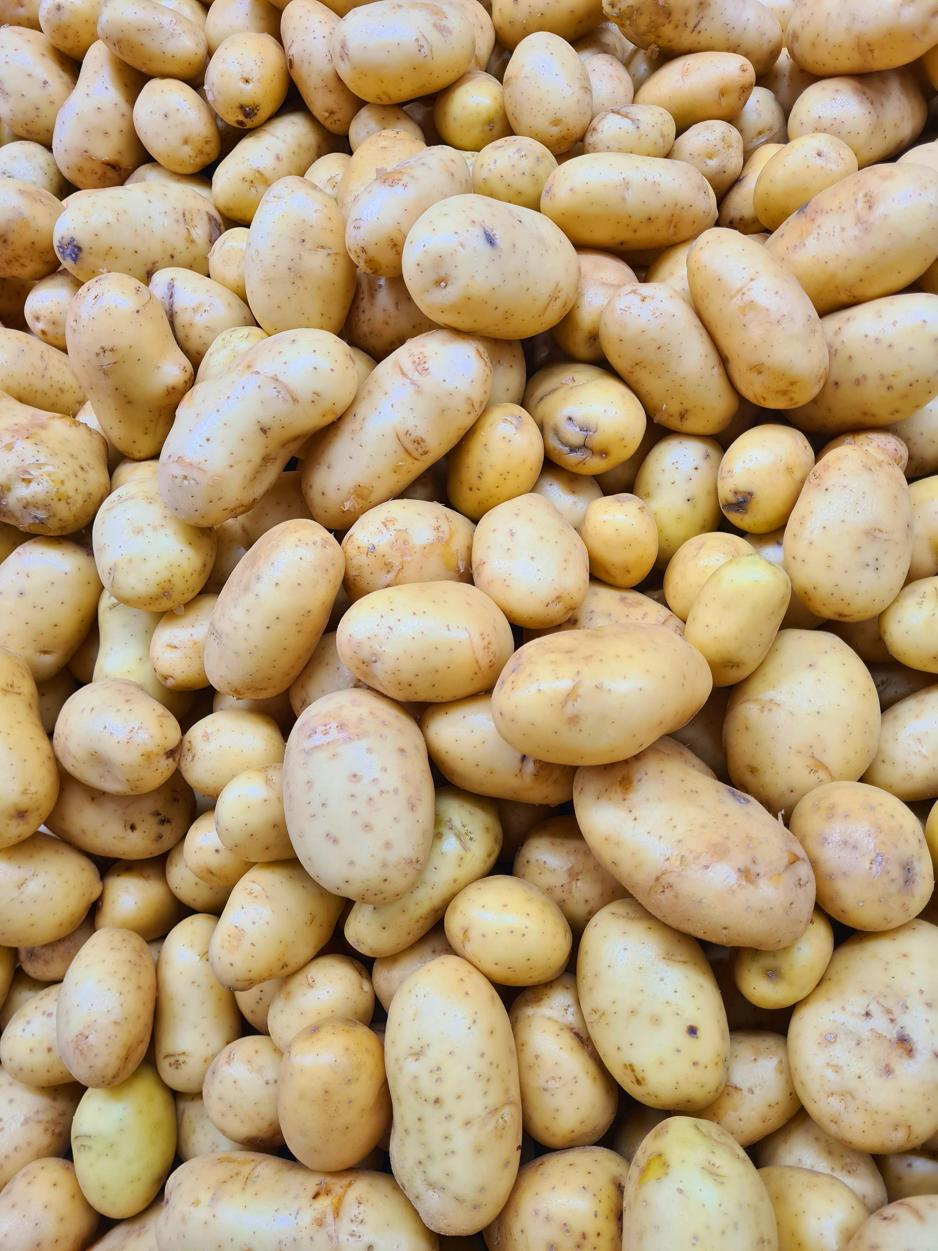 Irish Potato
