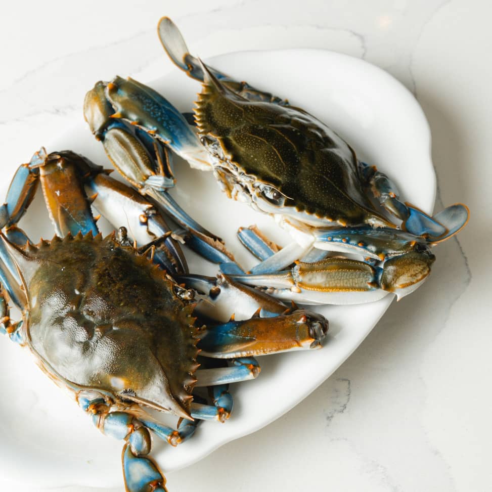 Crabs