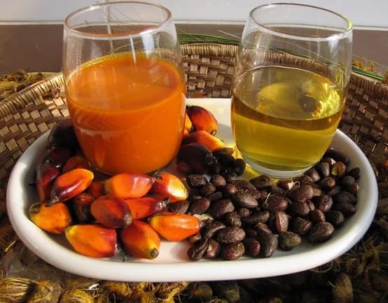 Palm Oil