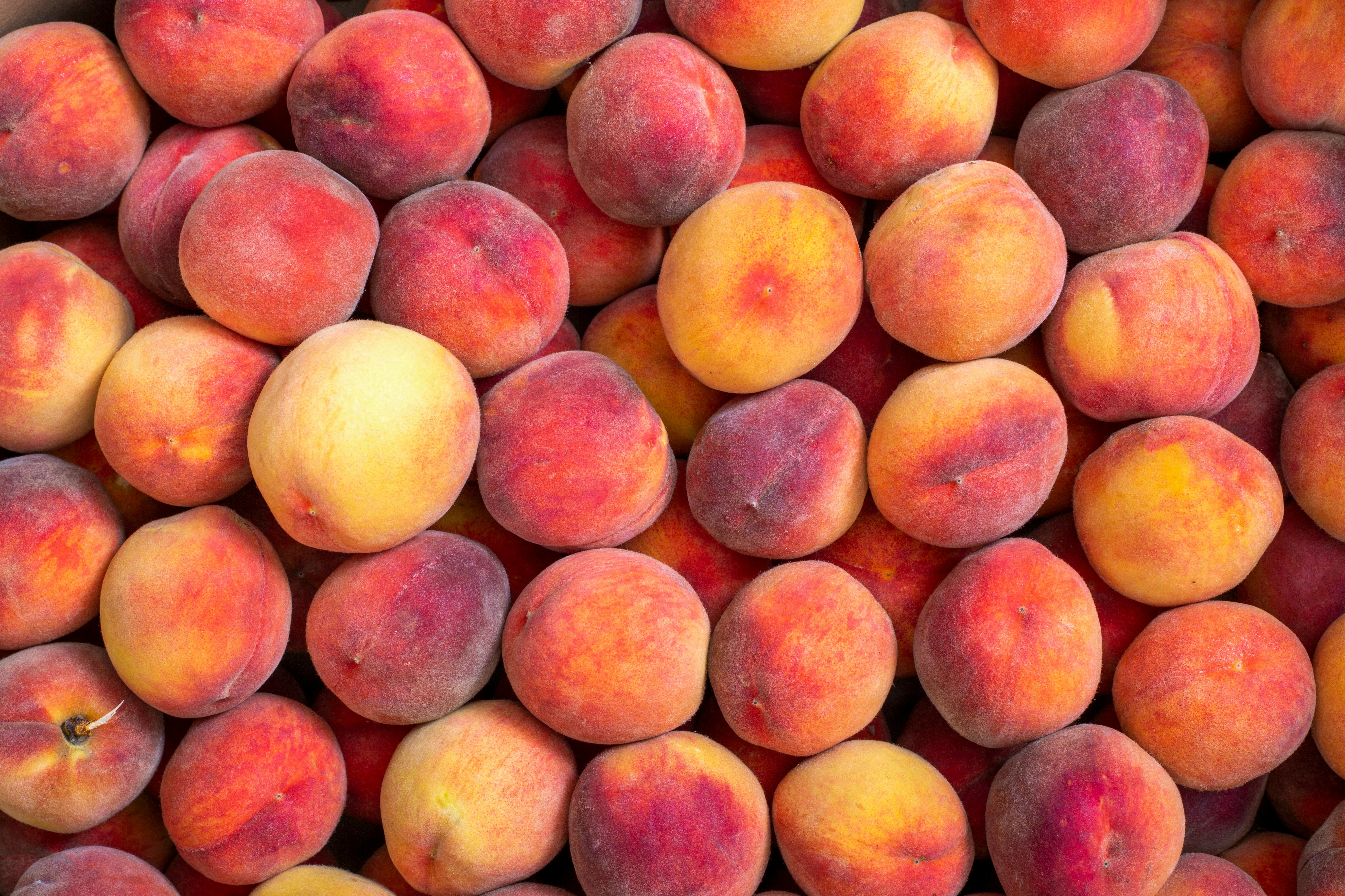 Fresh Peaches
