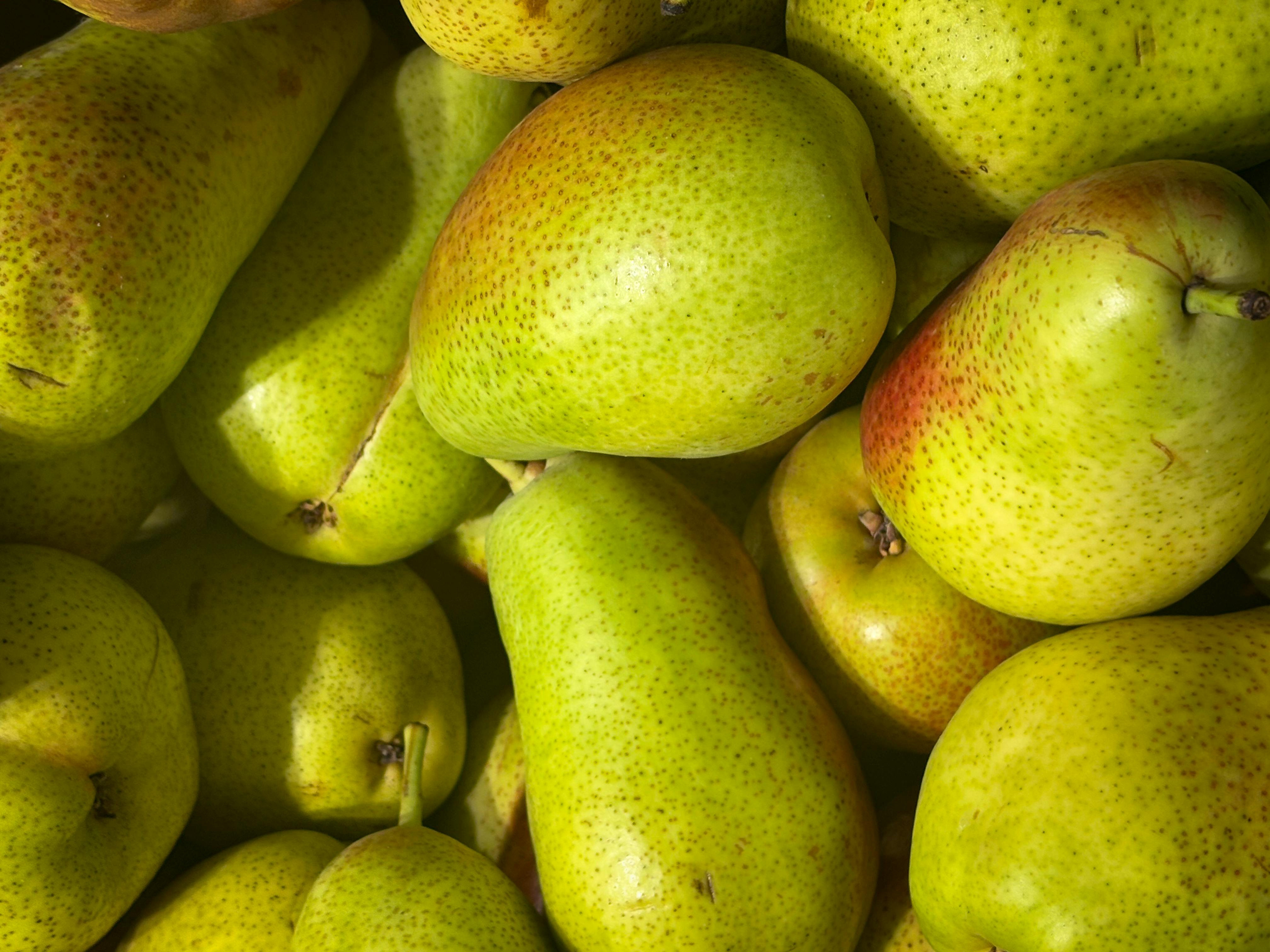 Fresh Pears