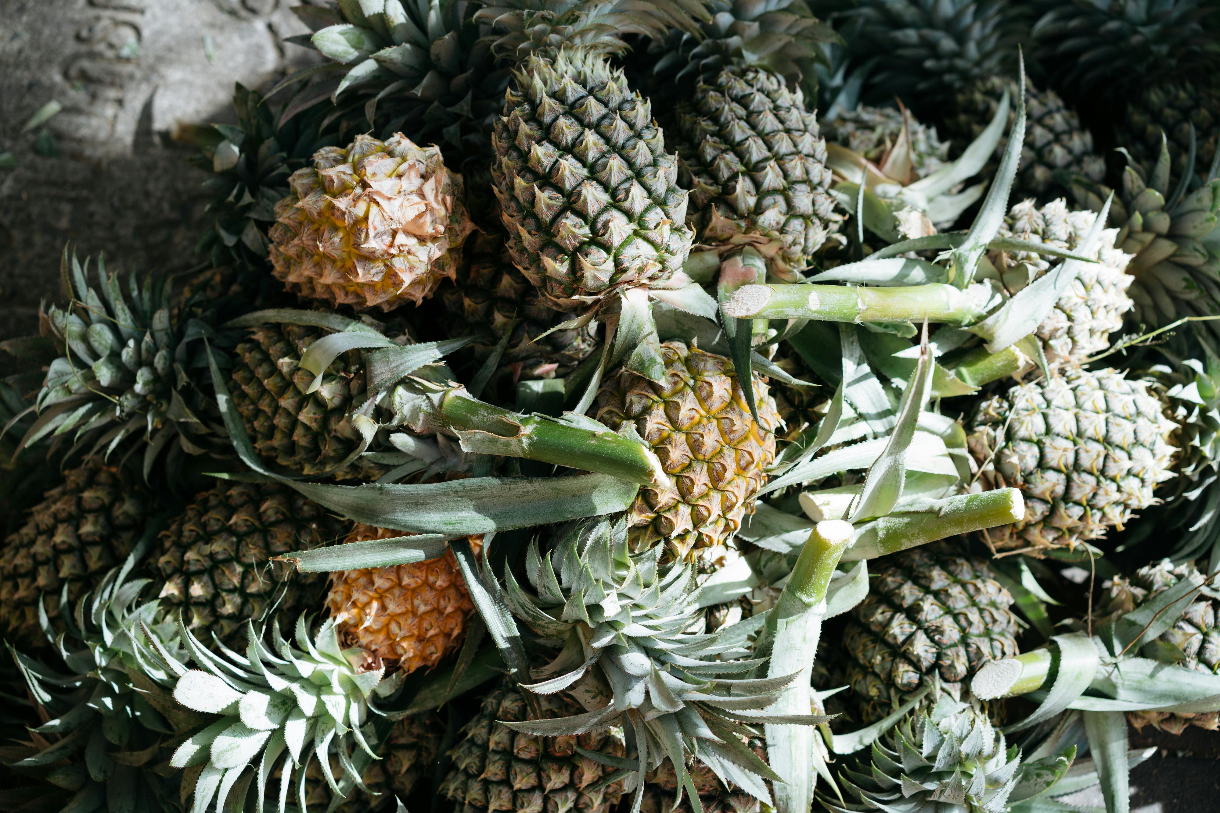 Fresh Pineapples