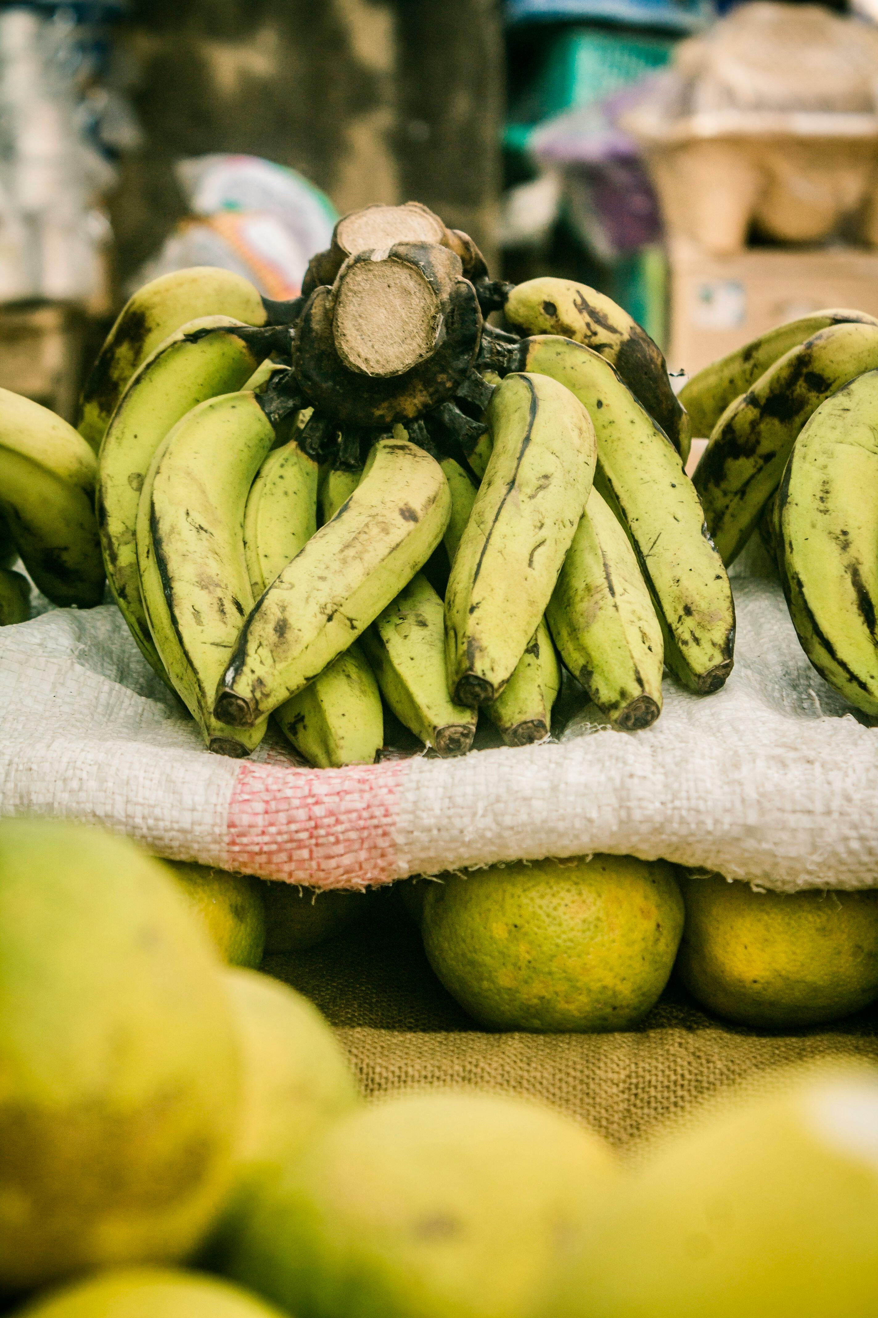 Plantain