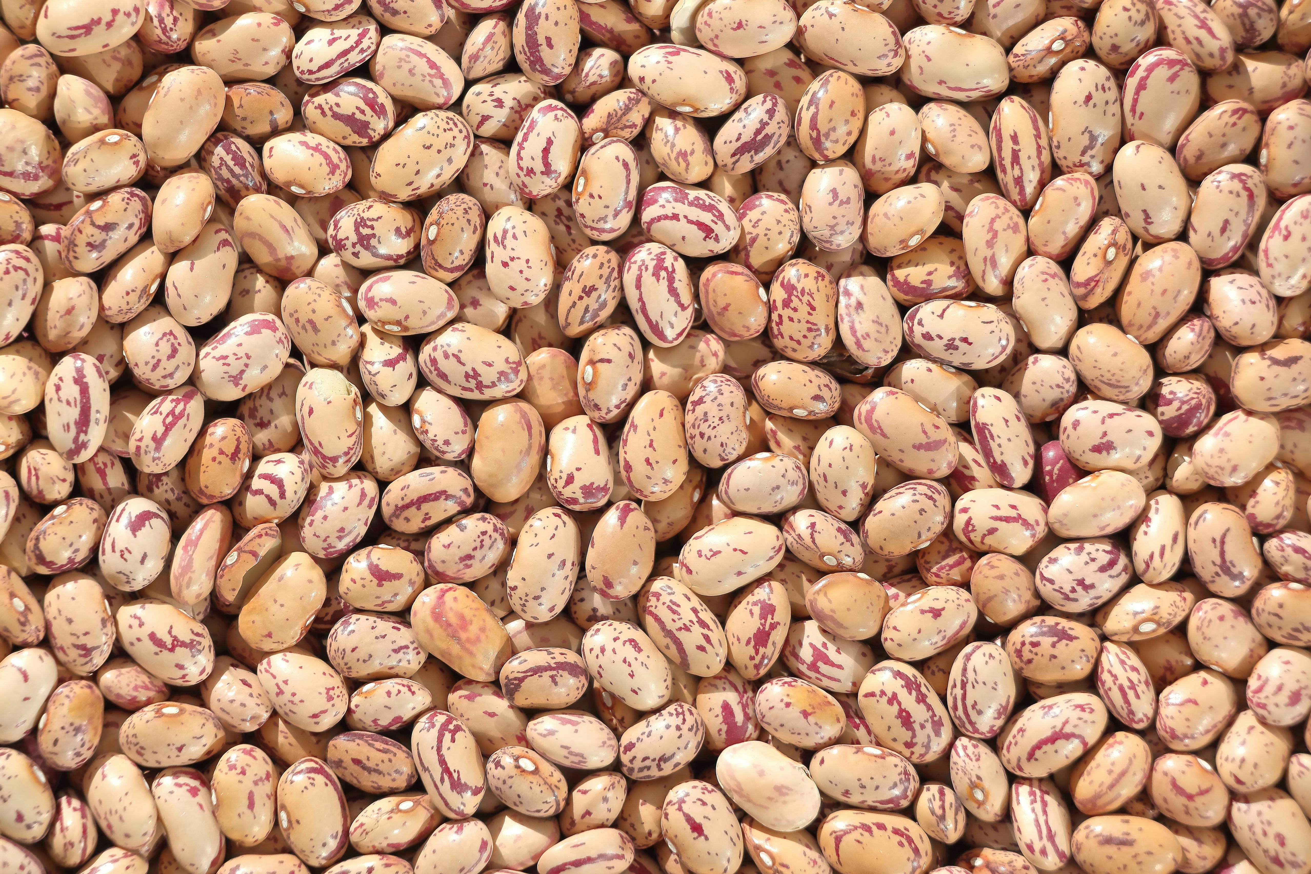 Red Speckled Beans