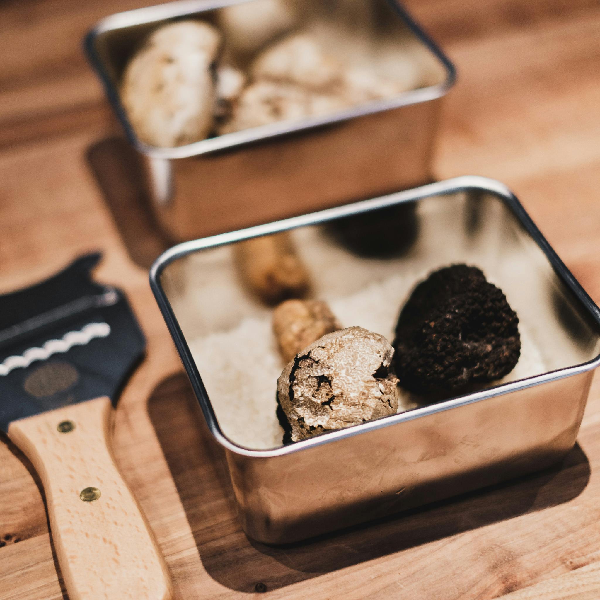 Black Truffle