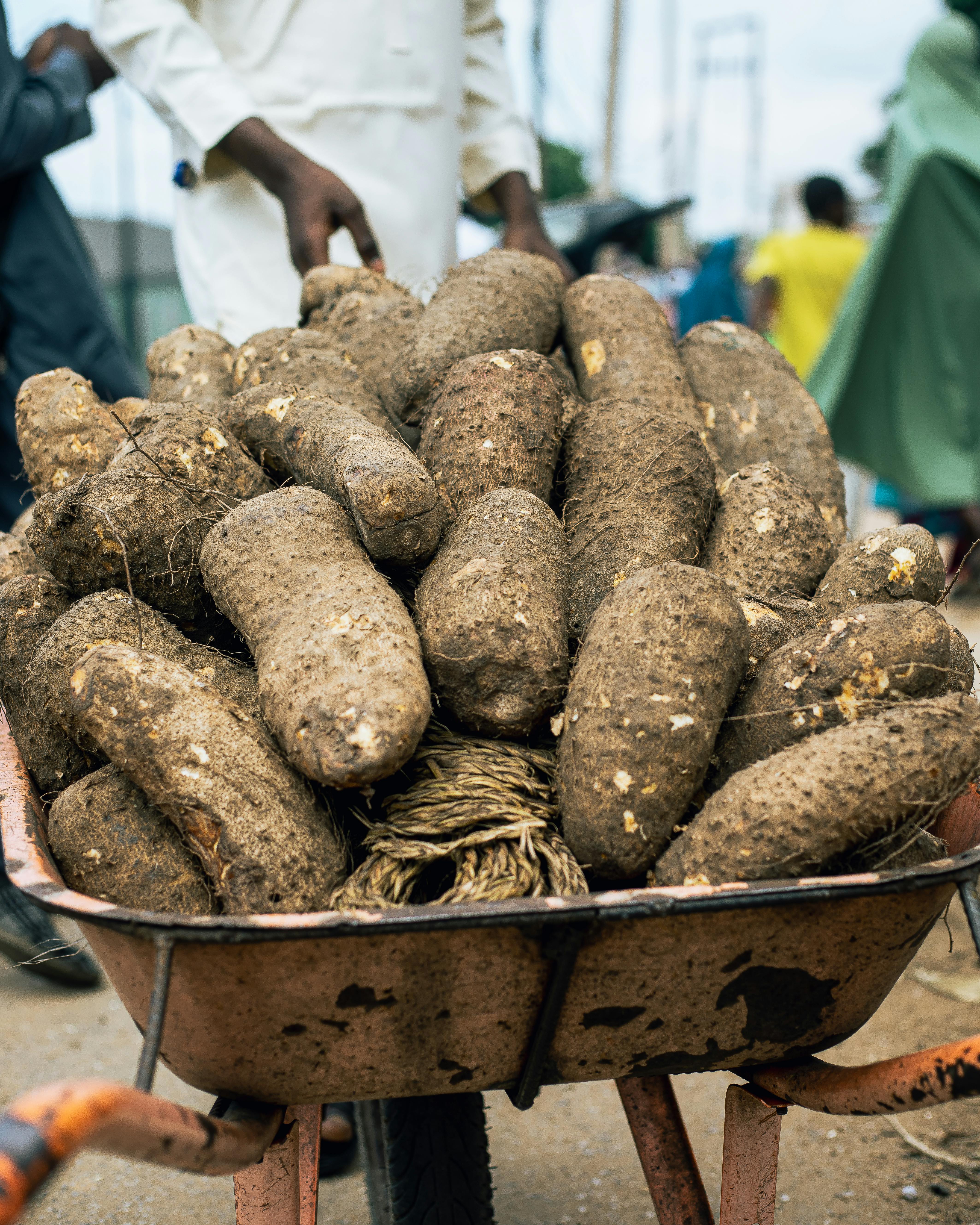 Yellow Yams